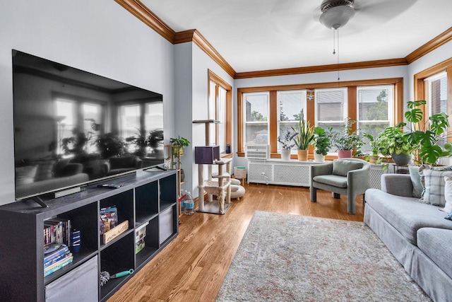 1027 N Harlem Ave, Oak Park, IL 60302 - living room with ornamental molding, wood finished floors, radiator, a ceiling fan, and cooling unit