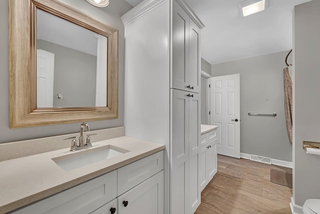 1810 Jana Ln, Morris, IL 60450 - bathroom with vanity and wood finished floors