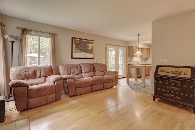 2799 Squaw Valley Trl, Aurora, IL 60503 - living room featuring light wood finished floors and french doors