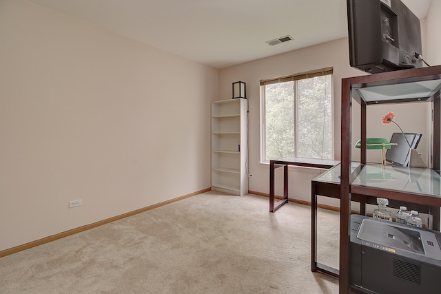 2799 Squaw Valley Trl, Aurora, IL 60503 - carpeted office space with baseboards