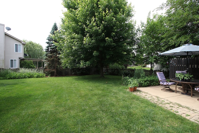 2799 Squaw Valley Trl, Aurora, IL 60503 - view of yard with a patio