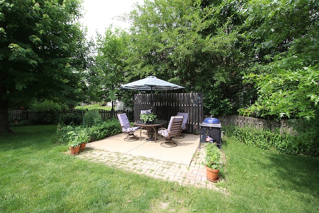 2799 Squaw Valley Trl, Aurora, IL 60503 - fenced backyard with a patio
