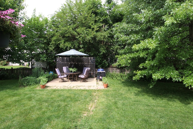 2799 Squaw Valley Trl, Aurora, IL 60503 - view of yard with a patio area