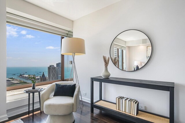 161 E Chicago Ave Unit 49B, Chicago, IL 60611 - sitting room with wood finished floors and a water view