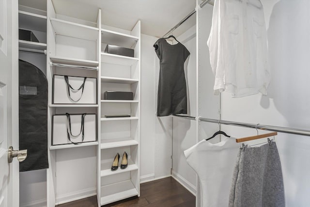 161 E Chicago Ave Unit 49B, Chicago, IL 60611 - spacious closet with wood finished floors