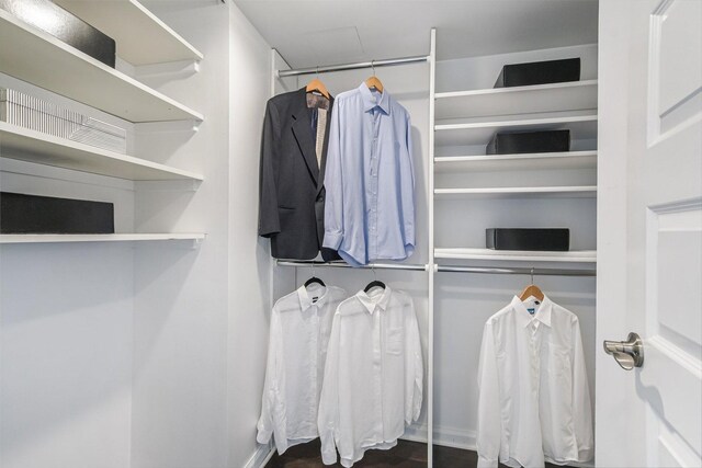 161 E Chicago Ave Unit 49B, Chicago, IL 60611 - view of spacious closet