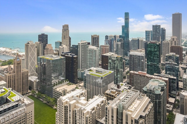 161 E Chicago Ave Unit 49B, Chicago, IL 60611 - skyline view featuring a large body of water