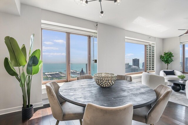 161 E Chicago Ave Unit 49B, Chicago, IL 60611 - dining room featuring wood finished floors and a water view