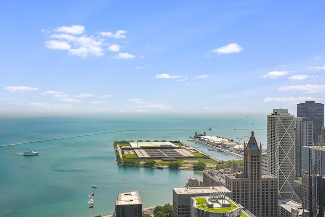 161 E Chicago Ave Unit 49B, Chicago, IL 60611 - water view