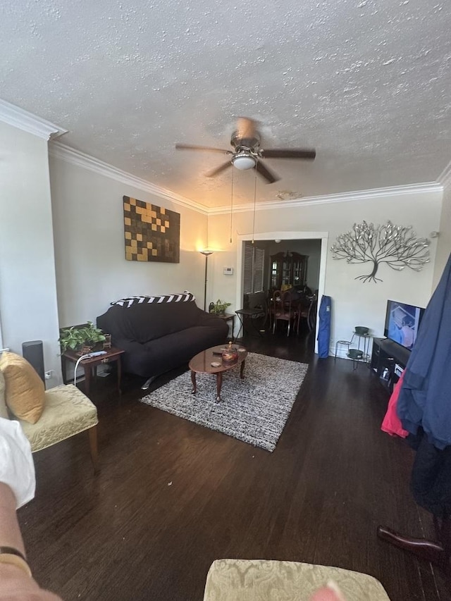 1519 E 76th Pl, Chicago, IL 60619 - living area with a textured ceiling, wood finished floors, crown molding, and ceiling fan