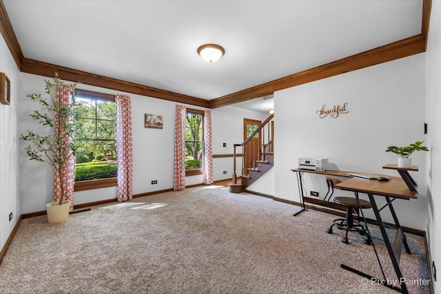 42W412 Sylvan Ln, Saint Charles, IL 60175 - office with carpet flooring and crown molding