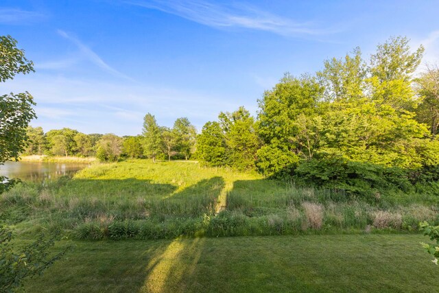 140 River Mist Dr, Oswego, IL 60543 - photo 25