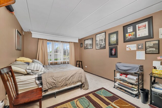 9535 S Mayfield Ave Unit 203, Oak Lawn, IL 60453 - bedroom with carpet floors