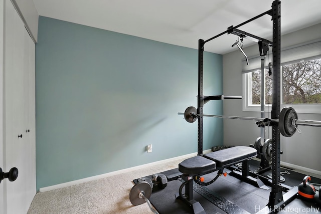 1113 Rolling Lane Rd, Johnsburg, IL 60051 - exercise area featuring baseboards