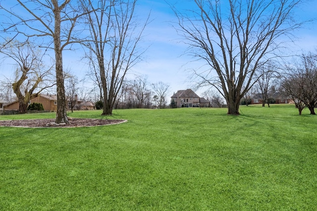 13707 W Carefree Dr, Homer Glen, IL 60491 - view of grassy yard