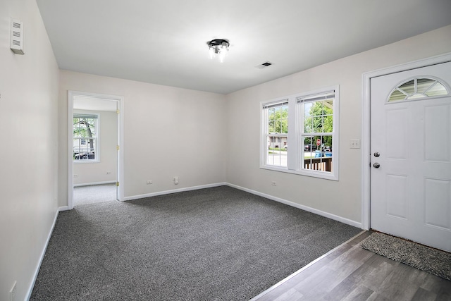 2110 E Erzinger St, Kankakee, IL 60901 - foyer featuring healthy amount of natural light, dark wood-type flooring, and dark colored carpet