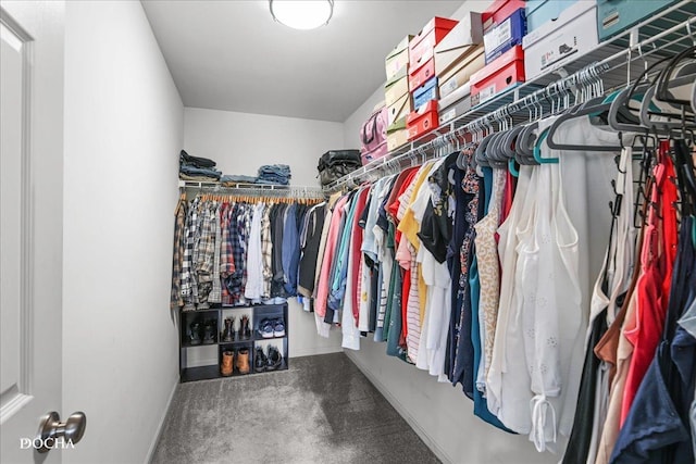 1944 Indian Hill Ln, Aurora, IL 60503 - spacious closet with carpet flooring