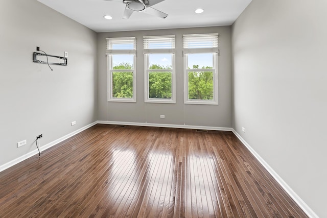 319 W Wood St Unit 18, Palatine, IL 60067 - empty room featuring plenty of natural light, dark wood finished floors, and ceiling fan