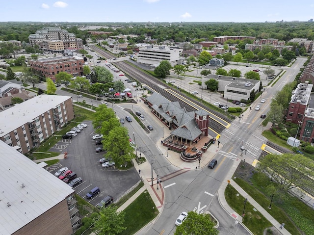 319 W Wood St Unit 18, Palatine, IL 60067 - bird's eye view
