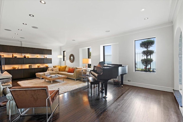 5510 N Sheridan Rd Unit 17A, Chicago, IL 60640 - living area featuring dark wood-type flooring, crown molding, and recessed lighting