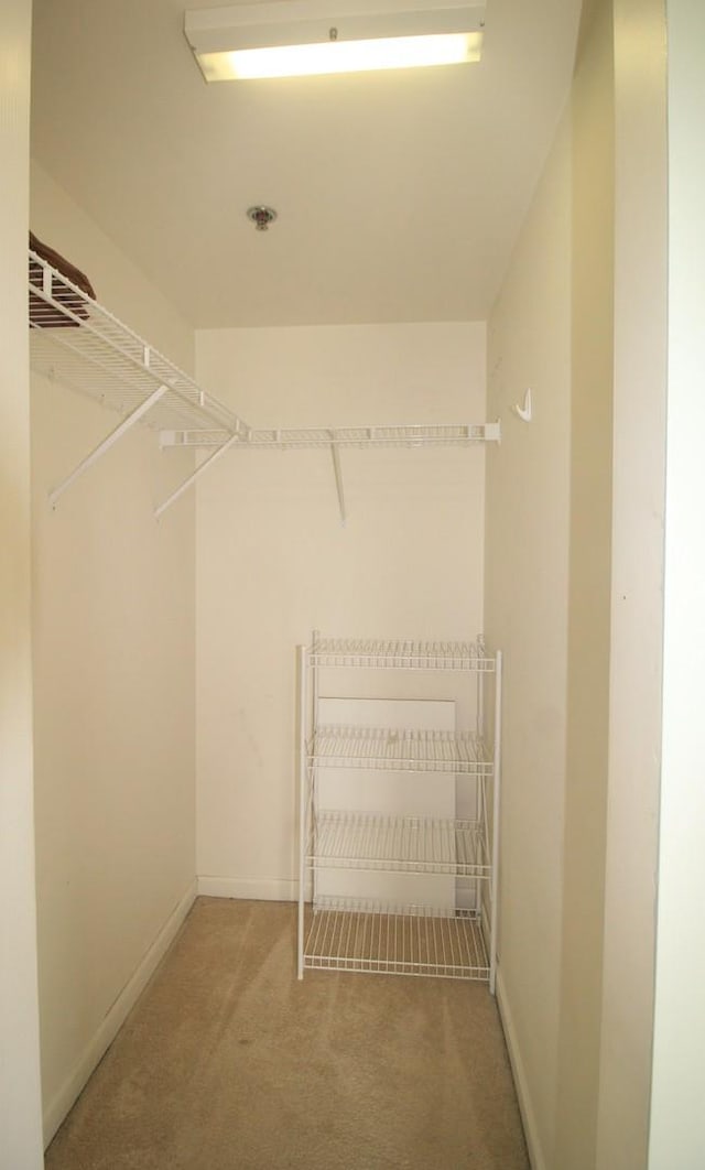7335 Oakwood Ave Unit 4F, Lyons, IL 60534 - spacious closet with light carpet