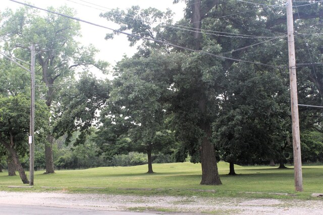 7335 Oakwood Ave Unit 4F, Lyons, IL 60534 - view of grassy yard with view of scattered trees