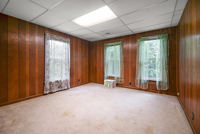 125 S Main St, Clifton, IL 60927 - empty room with wood walls, light carpet, and a paneled ceiling
