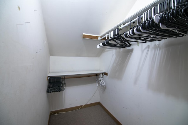 125 S Main St, Clifton, IL 60927 - spacious closet featuring carpet floors