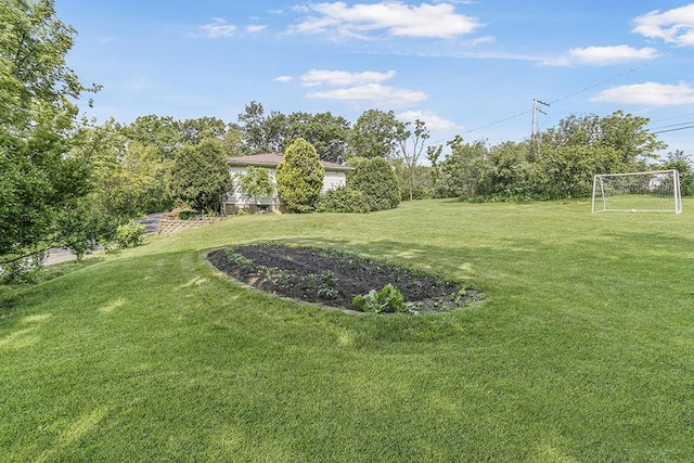 15005 131st St, Lemont, IL 60439 - view of yard featuring a sport area
