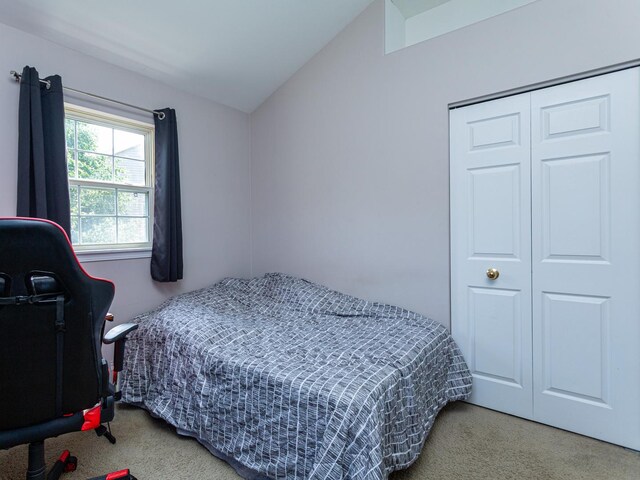 7367 Grandview Ct Unit 7367, Carpentersville, IL 60110 - carpeted bedroom with vaulted ceiling and a closet