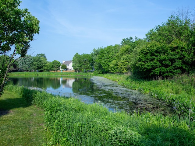 7367 Grandview Ct Unit 7367, Carpentersville, IL 60110 - water view