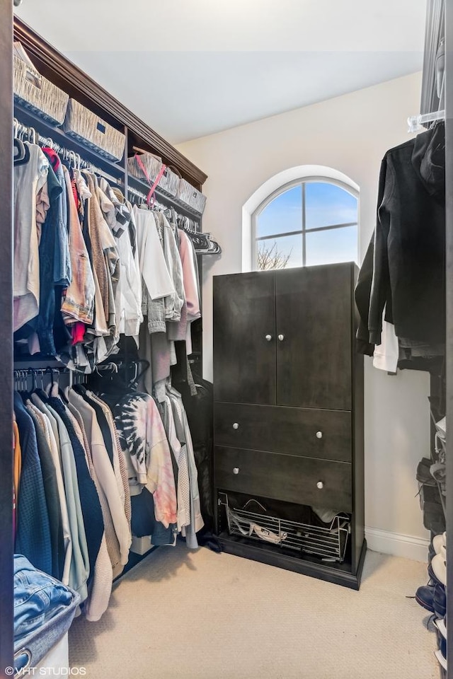 3019 W Cornelia Ave, Chicago, IL 60618 - walk in closet with carpet floors