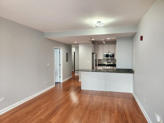 1250 S Michigan Ave Unit 703, Chicago, IL 60605 - kitchen featuring appliances with stainless steel finishes, light wood-style floors, backsplash, a peninsula, and recessed lighting