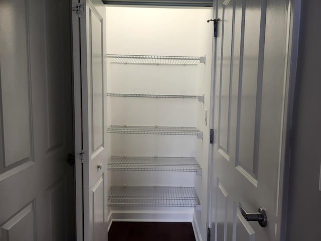 1250 S Michigan Ave Unit 703, Chicago, IL 60605 - view of pantry