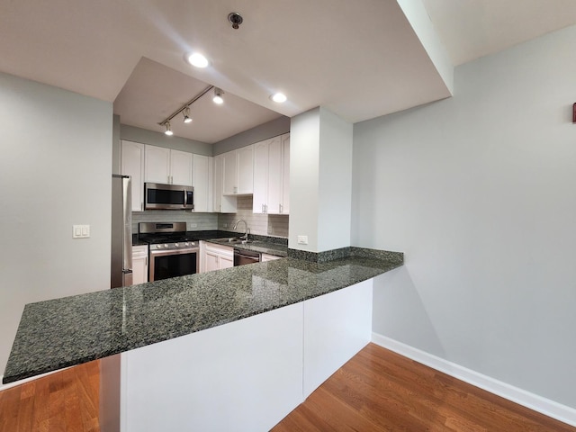 1250 S Michigan Ave Unit 703, Chicago, IL 60605 - kitchen with stainless steel appliances, a sink, dark stone counters, baseboards, and wood finished floors