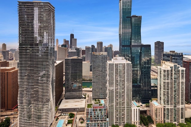 340 E Randolph St Unit 5504, Chicago, IL 60601 - skyline view