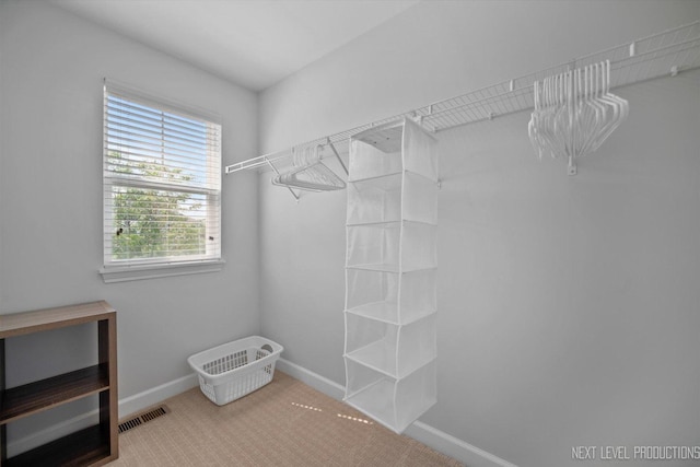 3S661 Breme Dr W, Warrenville, IL 60555 - spacious closet with carpet flooring