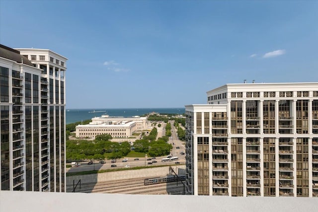 1322 S Prairie Ave Unit 406, Chicago, IL 60605 - water view with nearby urban area