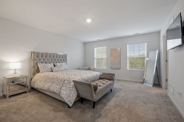 10298 Kerry Ridge Ct, Chicago Ridge, IL 60415 - photo 11