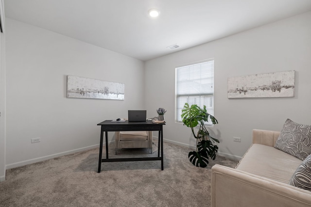 10298 Kerry Ridge Ct, Chicago Ridge, IL 60415 - photo 15