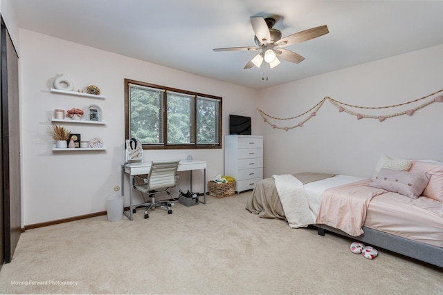 14034 S 84th Ave, Orland Park, IL 60462 - photo 21