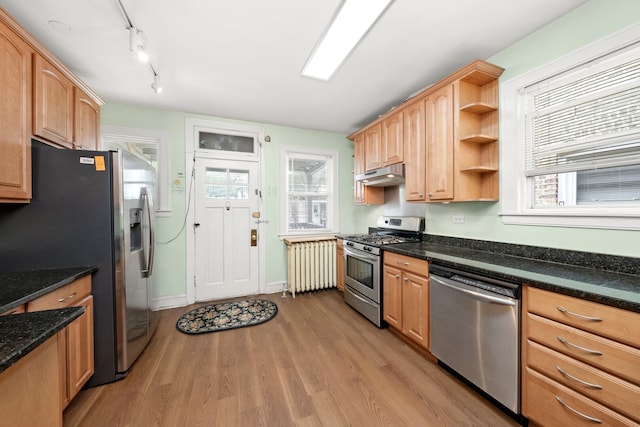 5010 N California Ave, Chicago, IL 60625 - kitchen featuring radiator heating unit, stainless steel appliances, under cabinet range hood, light wood-style floors, and plenty of natural light