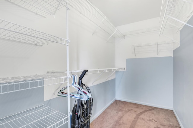 768 Fieldstone Dr, Lake Villa, IL 60046 - walk in closet with carpet floors
