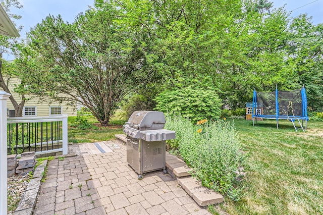 911 Lilac Ln, Naperville, IL 60540 - photo 20
