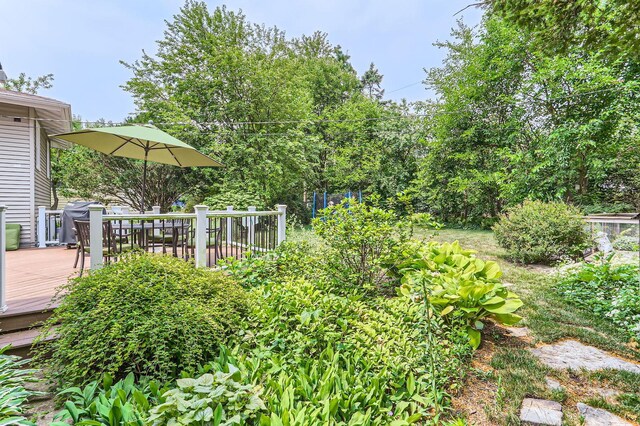 911 Lilac Ln, Naperville, IL 60540 - photo 21