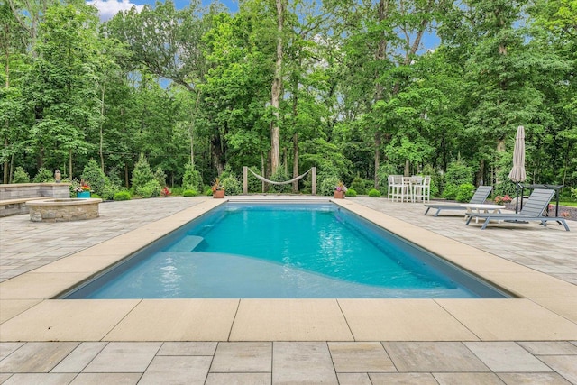 2611 Private Access 424, Mahomet, IL 61853 - outdoor pool with a patio, an outdoor fire pit, and view of scattered trees