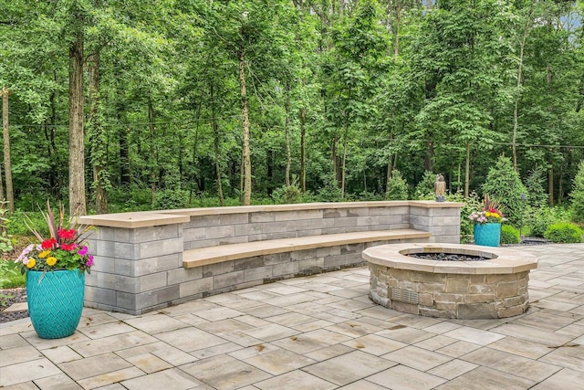 2611 Private Access 424, Mahomet, IL 61853 - view of patio / terrace featuring an outdoor fire pit and a view of trees