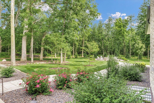 2611 Private Access 424, Mahomet, IL 61853 - view of grassy yard