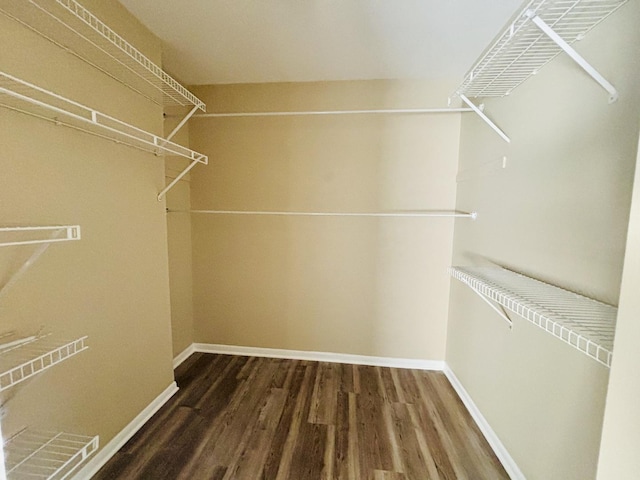 325 Shadowbend Dr, Wheeling, IL 60090 - spacious closet featuring wood finished floors