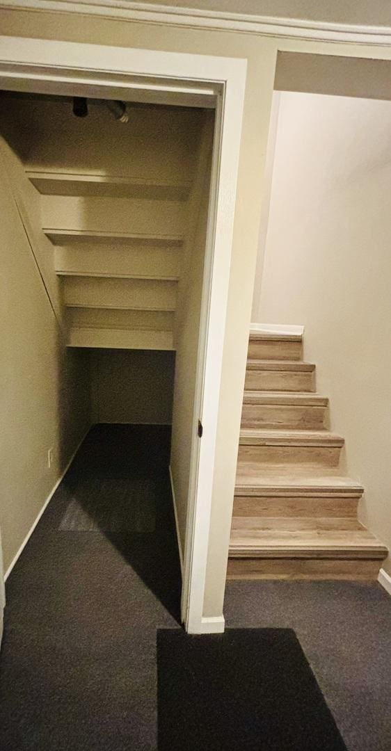 325 Shadowbend Dr, Wheeling, IL 60090 - staircase with carpet floors